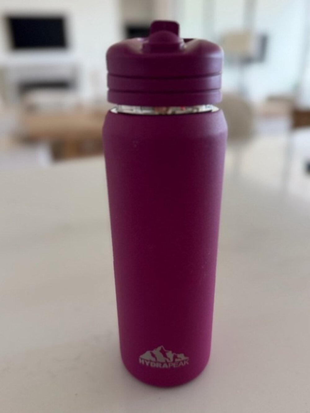 HydraPeak 20oz Insulated Water Bottle - Plum